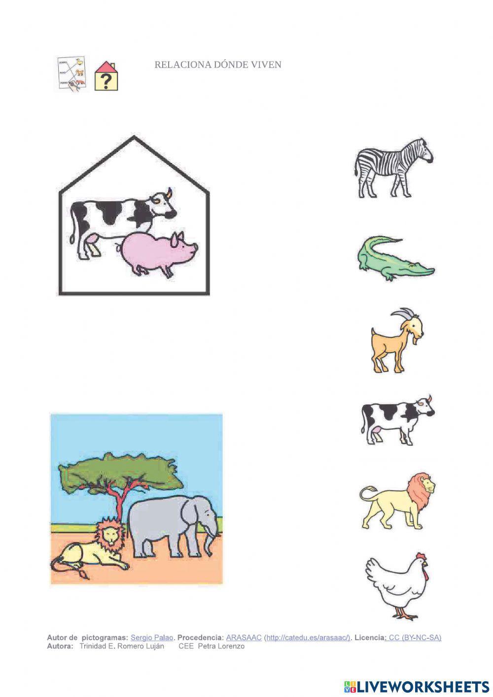 Animales domésticos y salvajes