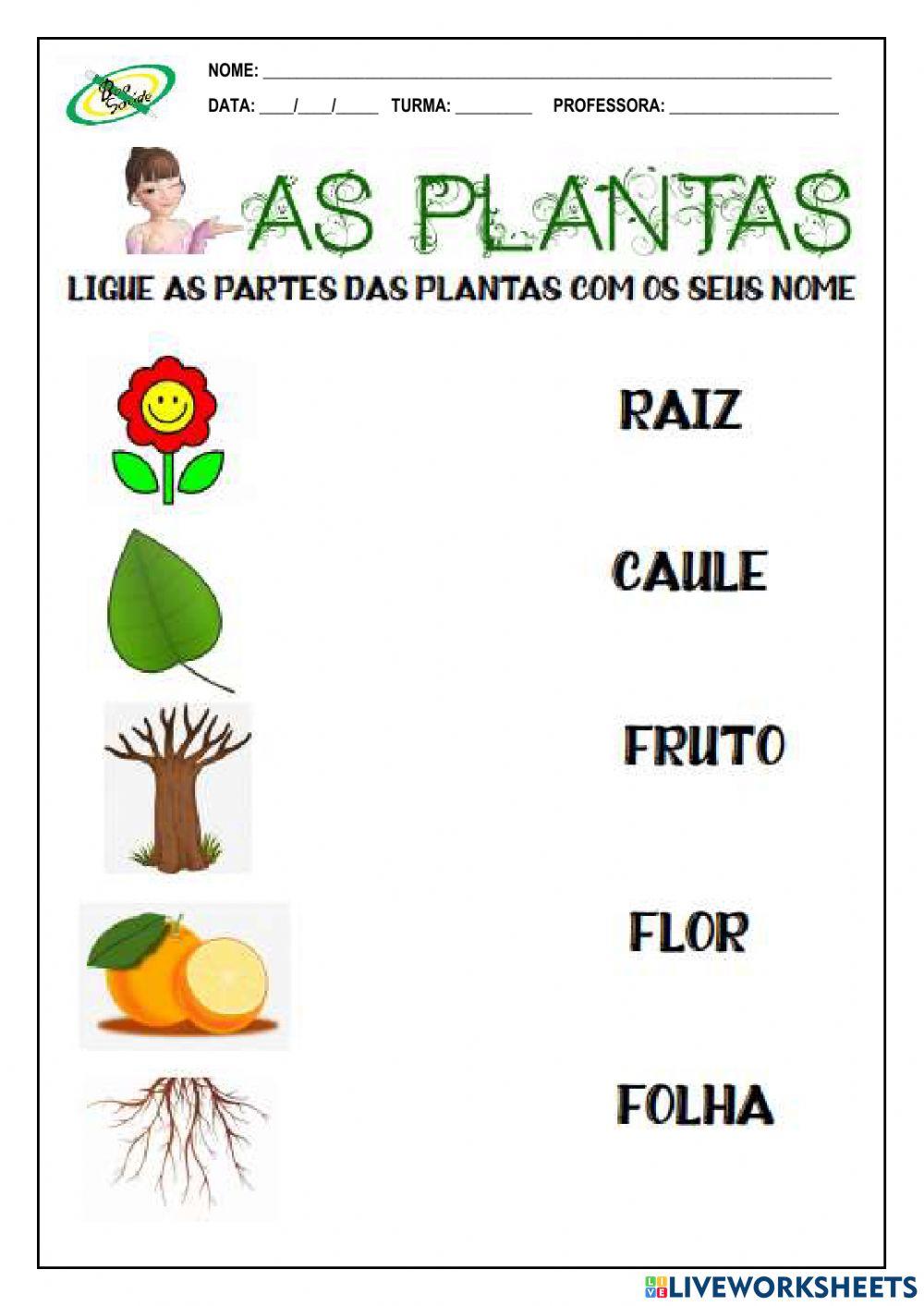 Parte das plantas