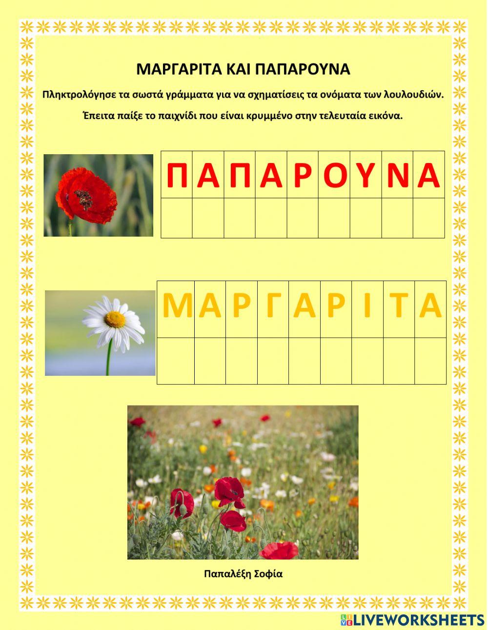 Παπαρούνα και μαργαρίτα