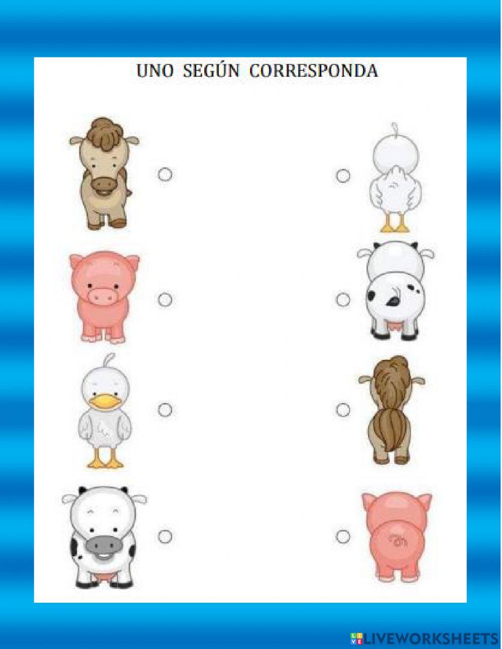 De frente de espalda