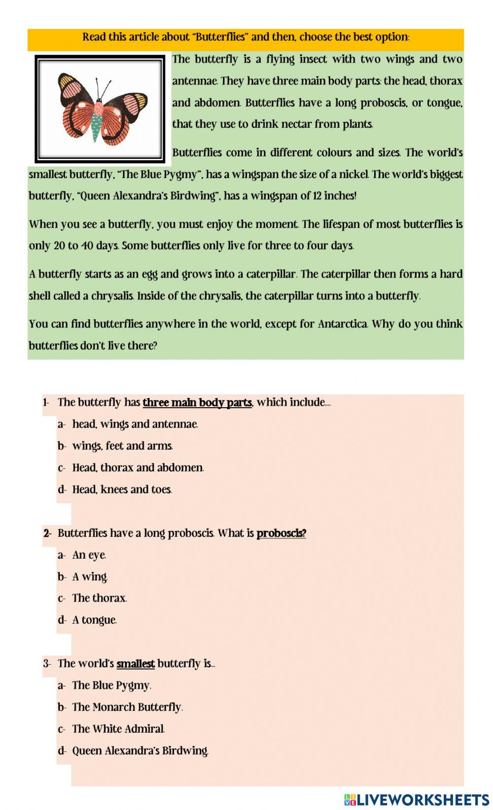 The Beutiful Butterfly