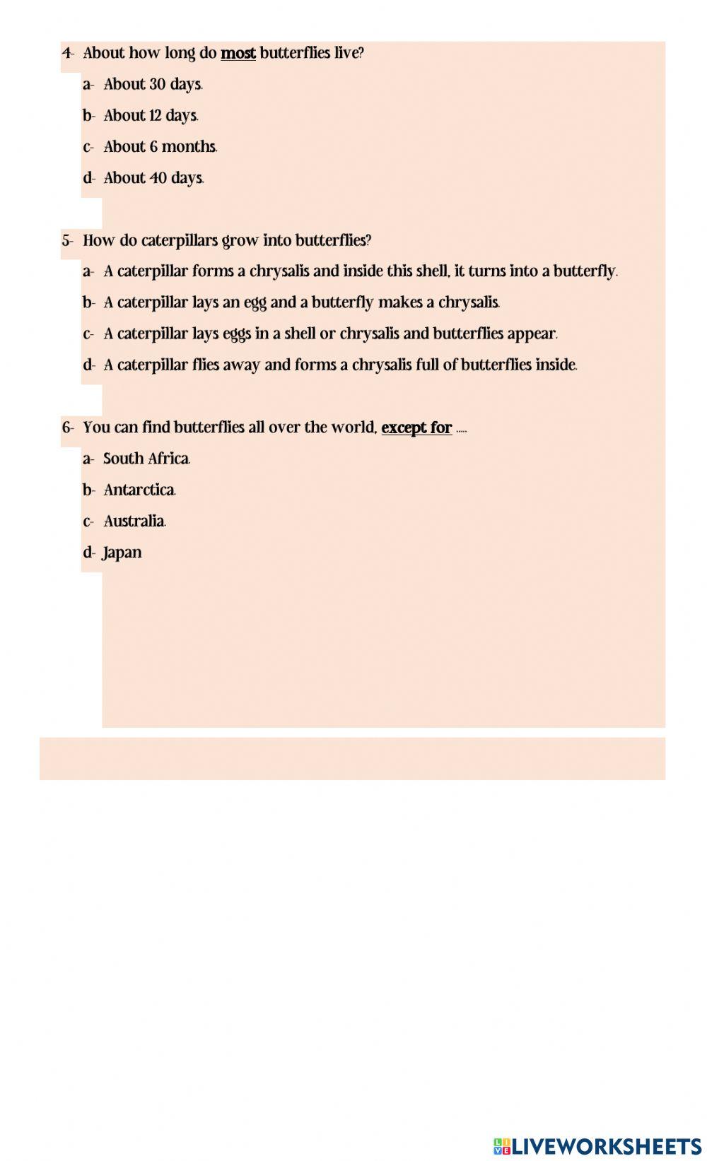 The Beutiful Butterfly