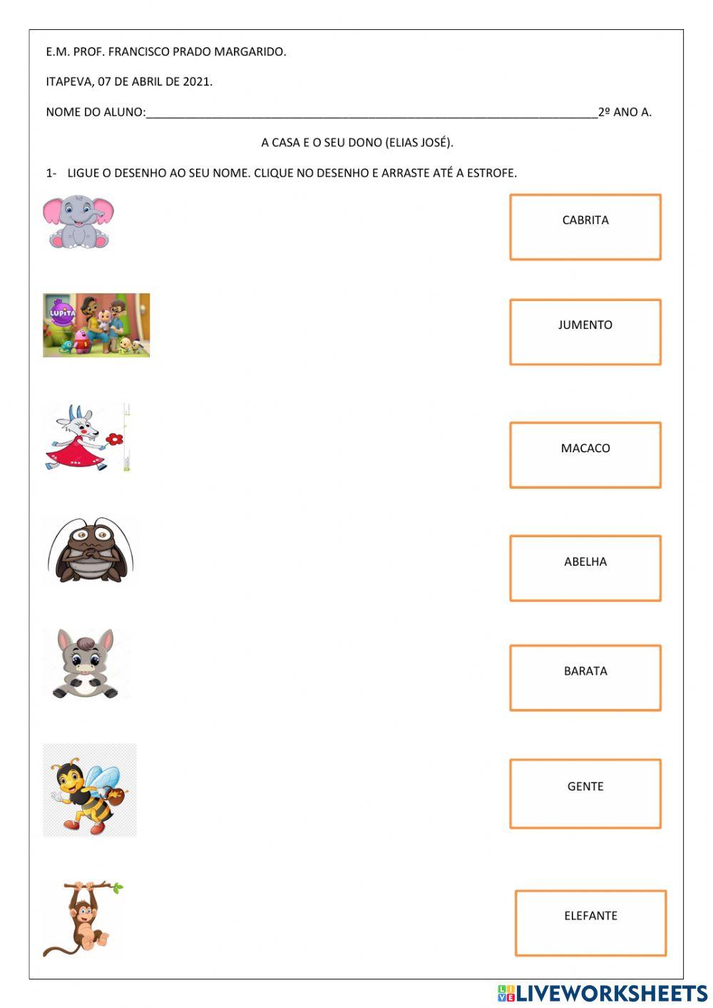 Alfabetização 2º ano