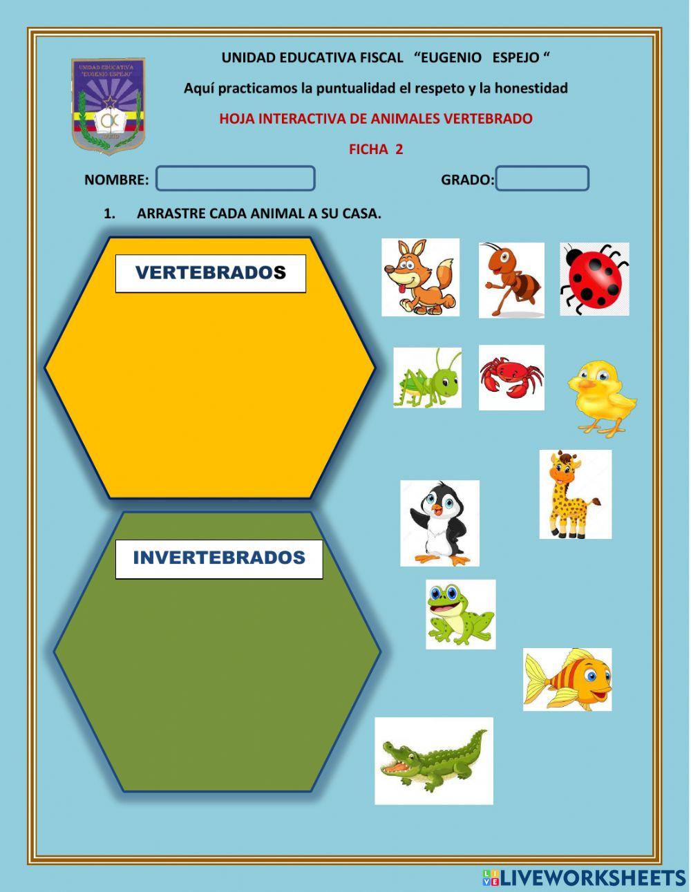 Animales vertebrados e invertebrados