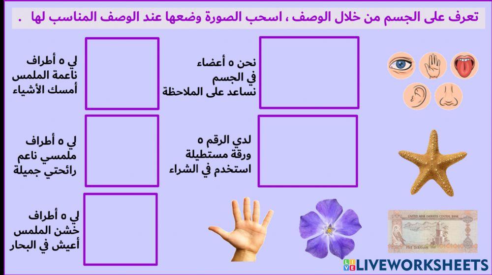 صفات الأجسام