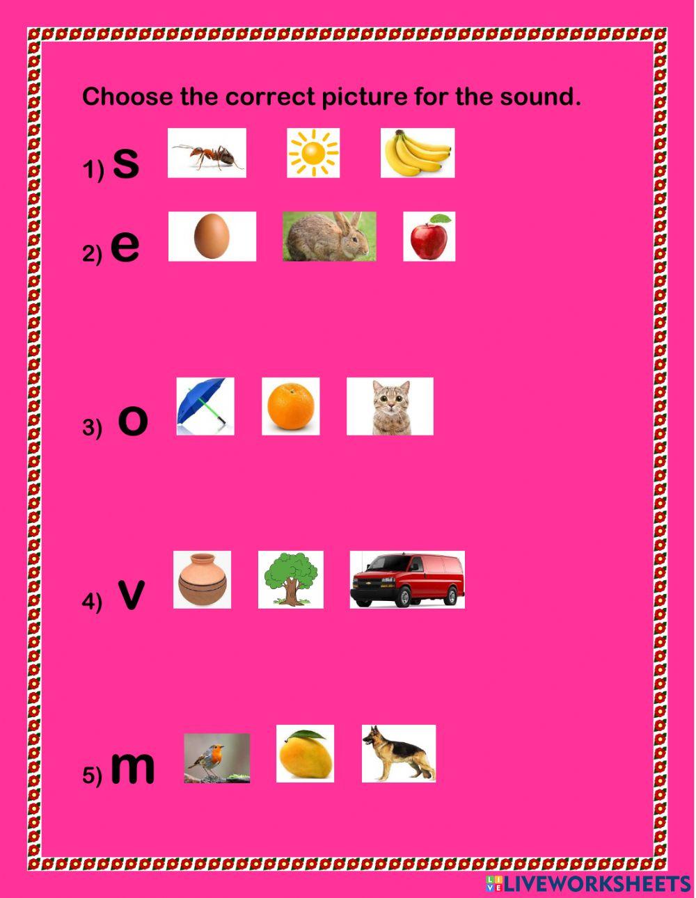 Choose the correct picture for the sound. worksheet | Live Worksheets
