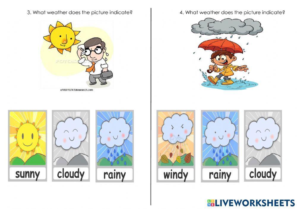 Types of Weather5