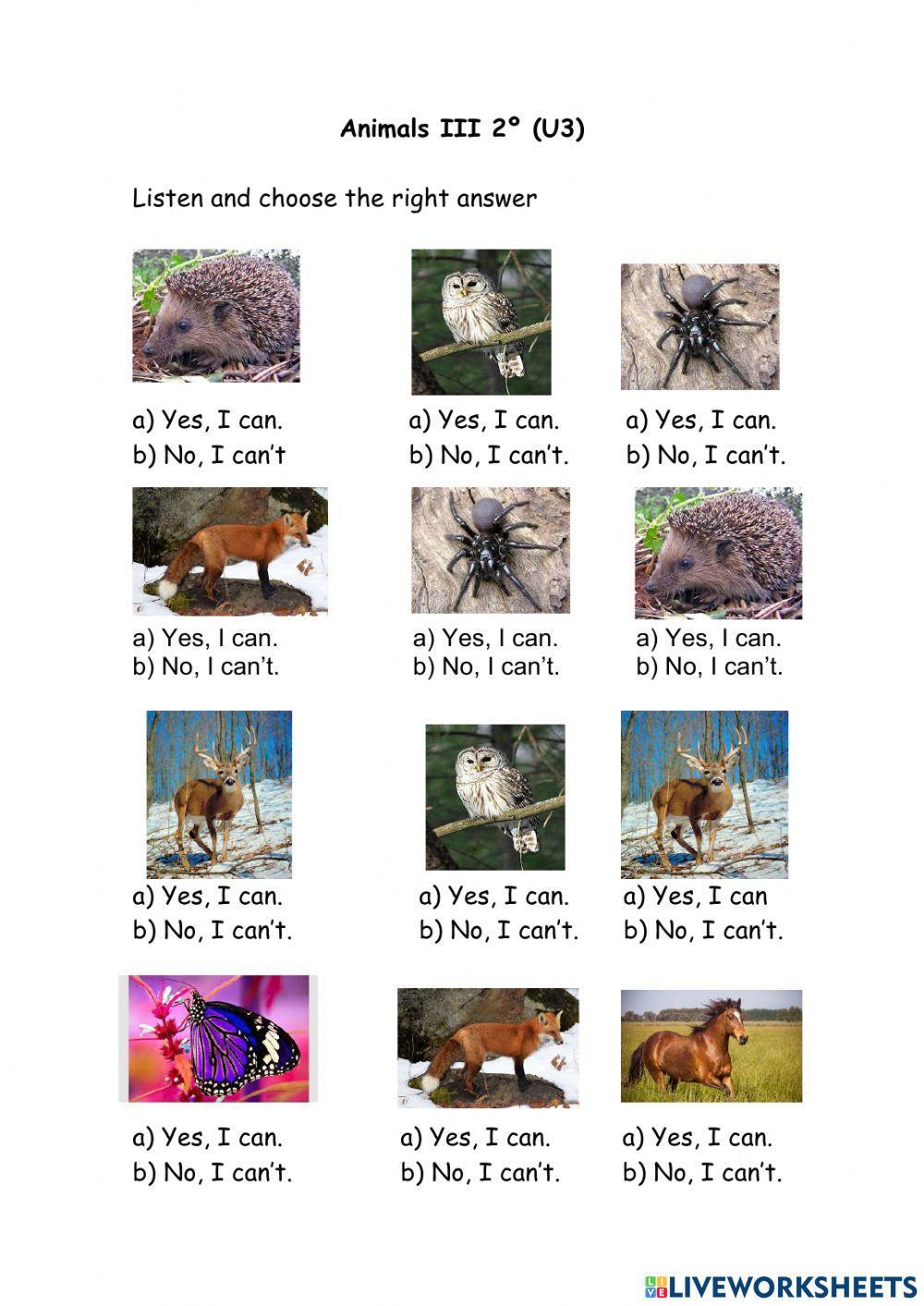 Animales III 2º U3