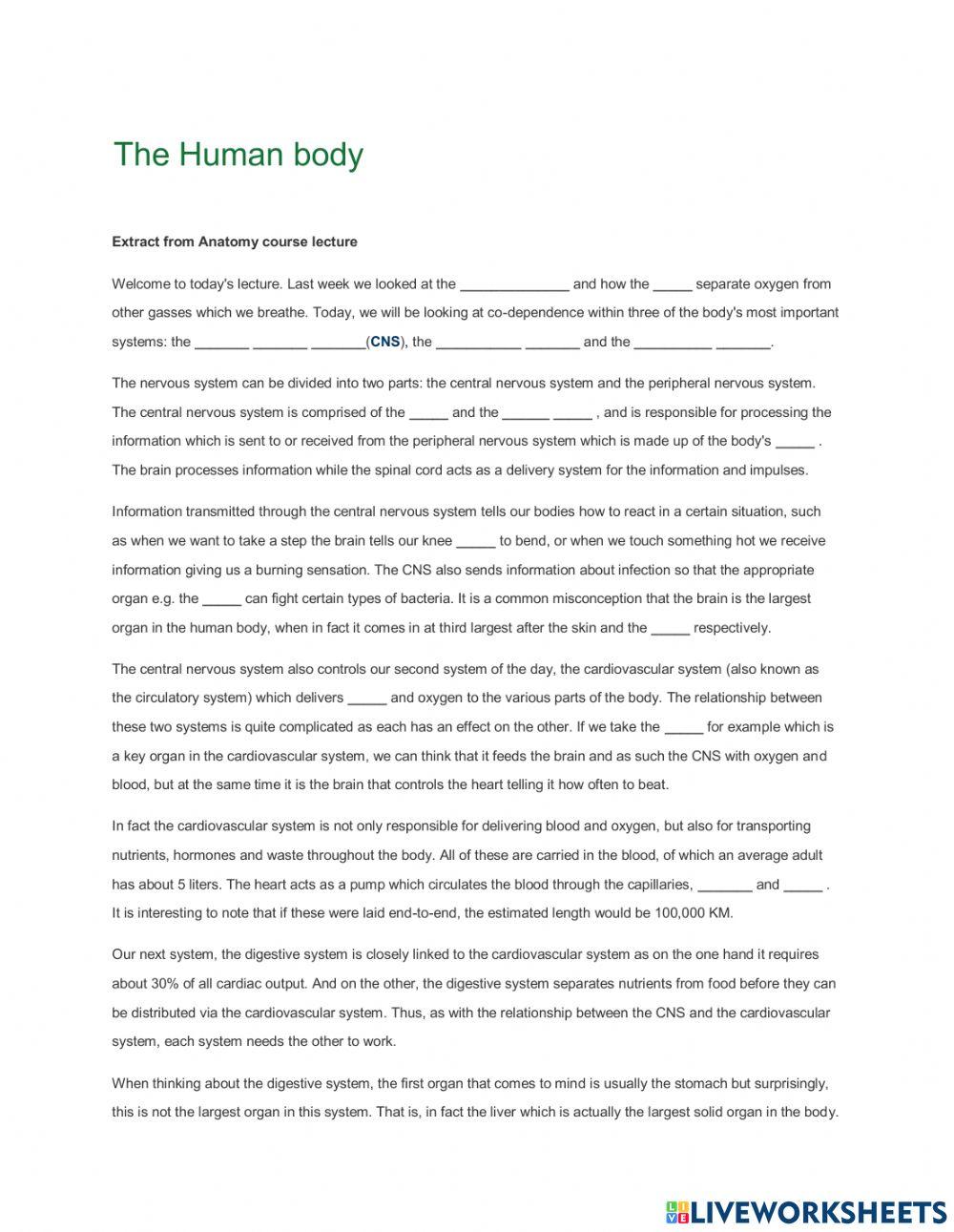 The Human Body
