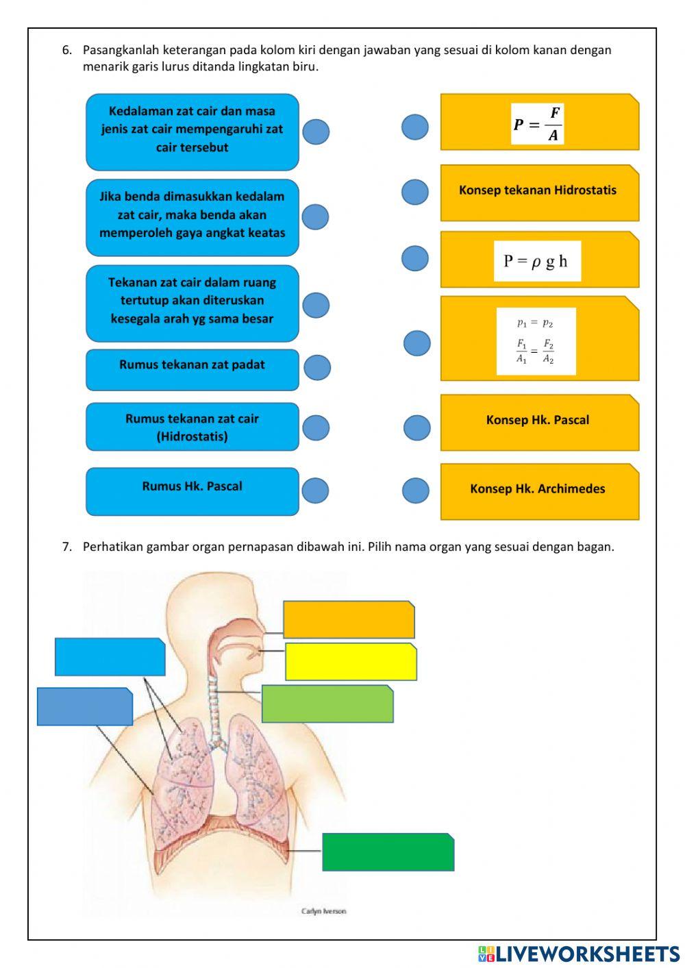 PAS GENAP (tekanan, pernapasan, ekskresi, getaran-gelombang-bunyi, cahaya-optik)