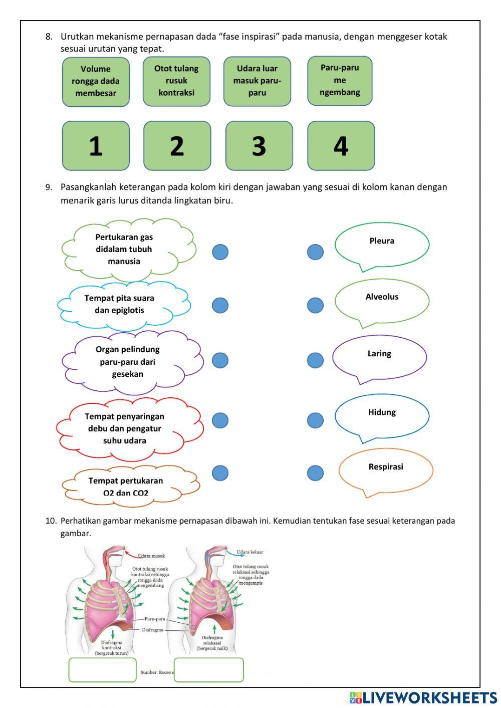 PAS GENAP (tekanan, pernapasan, ekskresi, getaran-gelombang-bunyi, cahaya-optik)