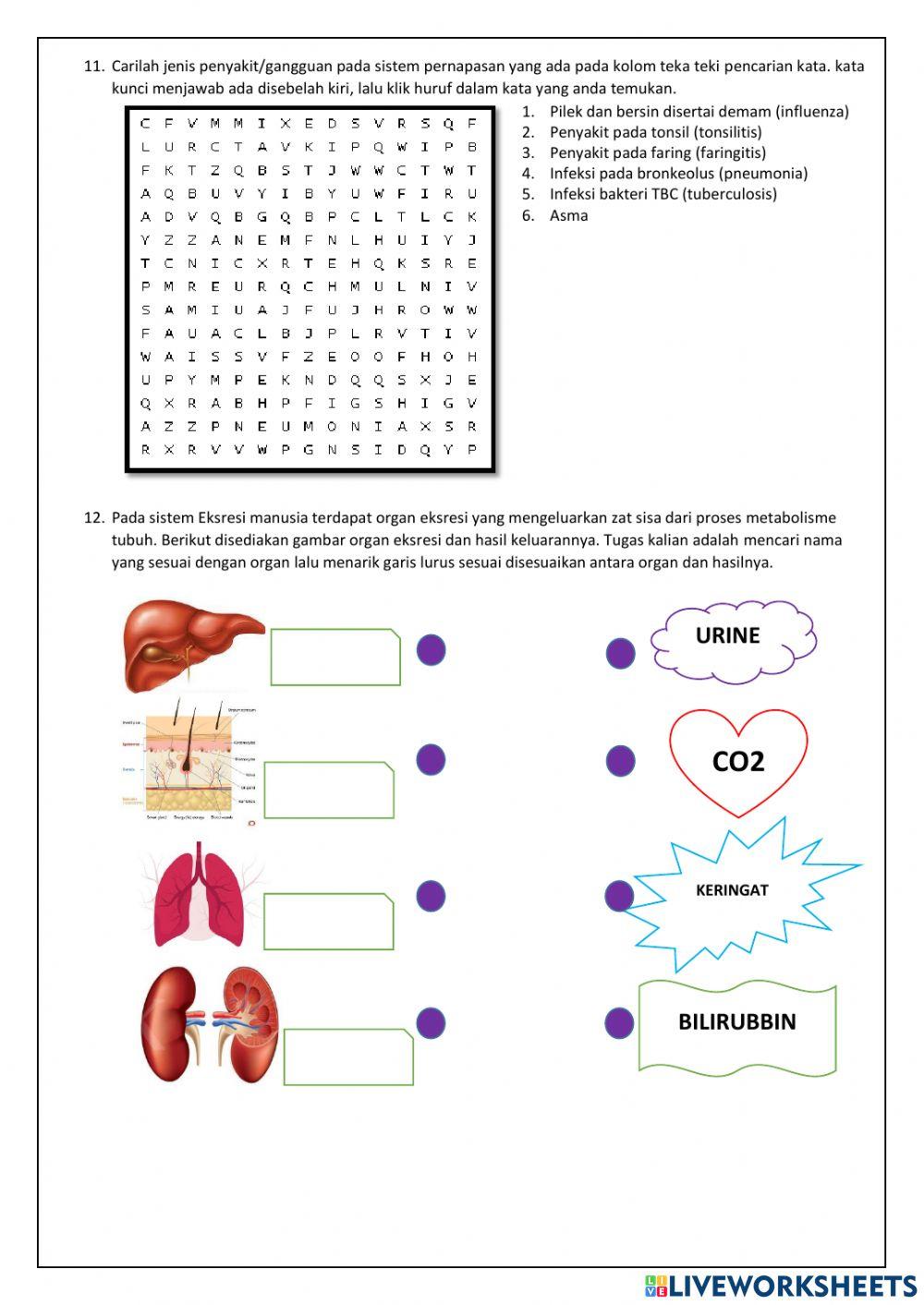 PAS GENAP (tekanan, pernapasan, ekskresi, getaran-gelombang-bunyi, cahaya-optik)