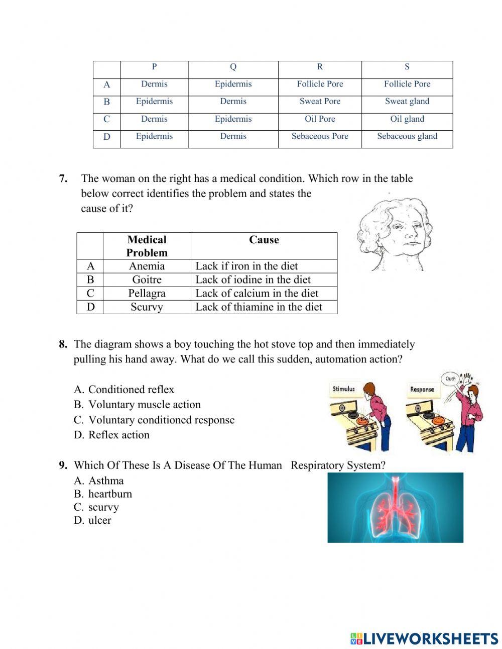 Health Science BJC Review2