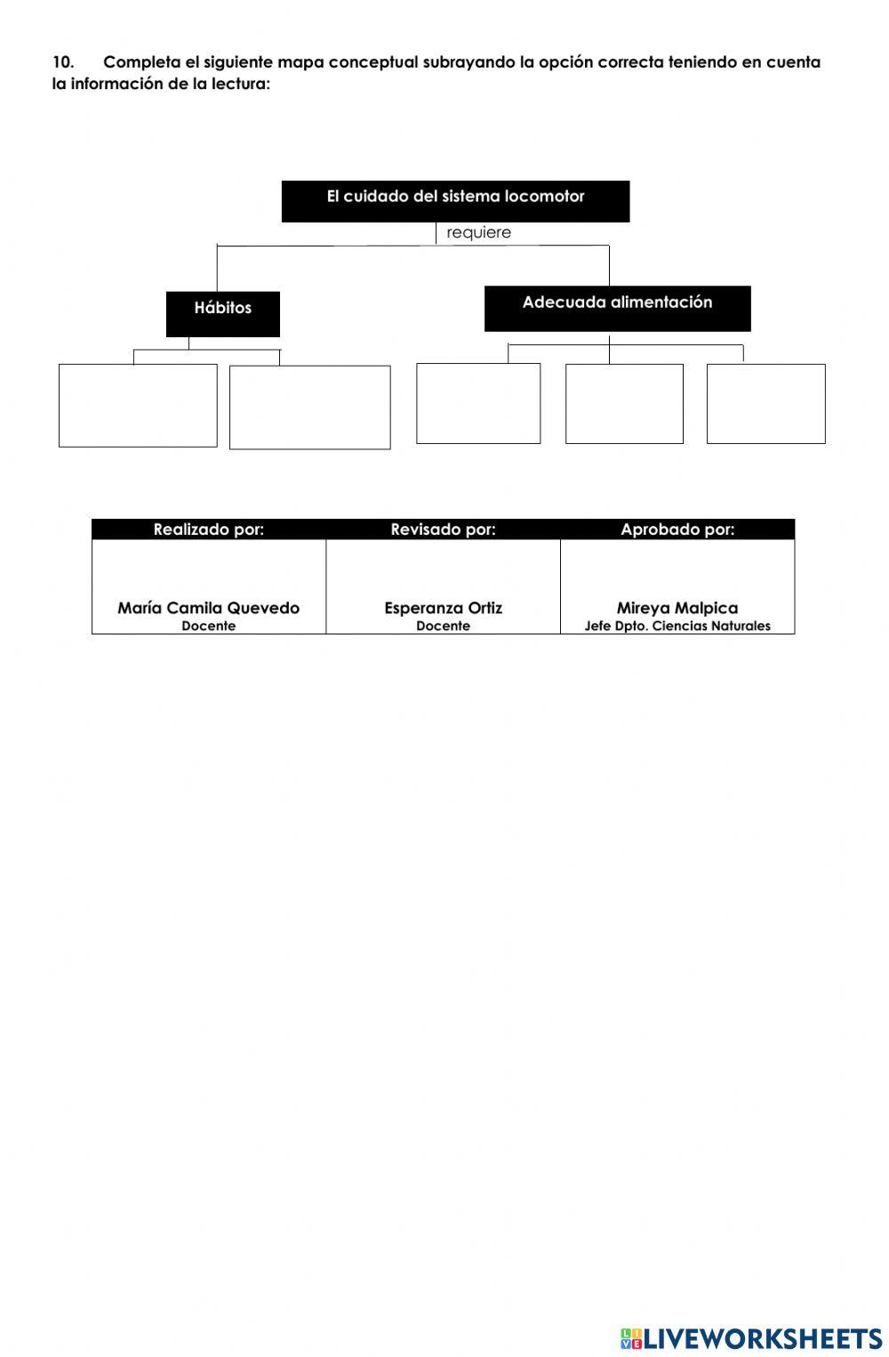 1. Virtual. Sistema locomotor