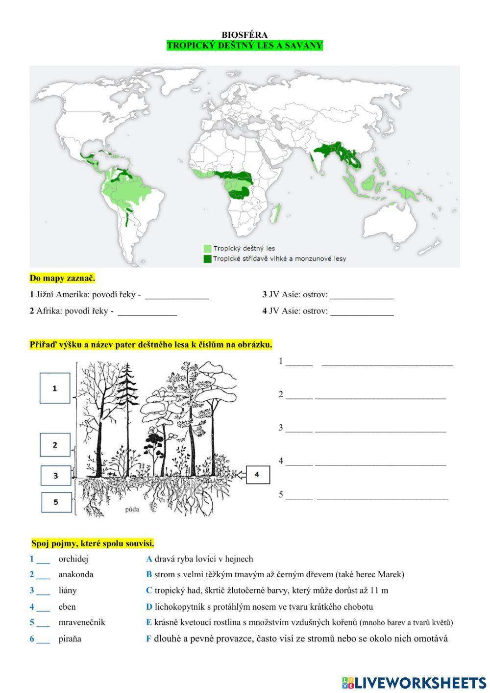 Z6 Biosféra - TDL a Savana