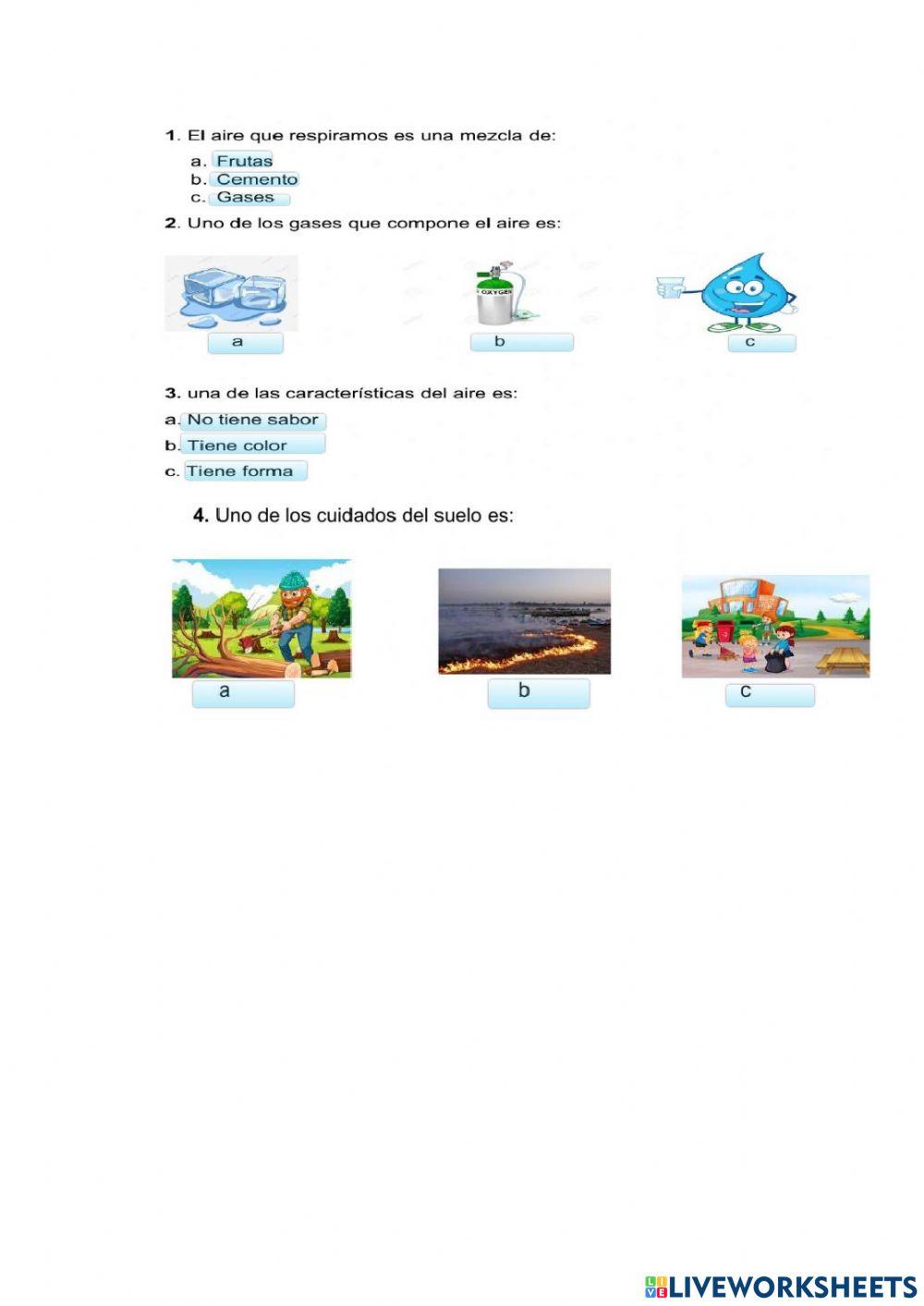 Taller de Ciencias Naturales