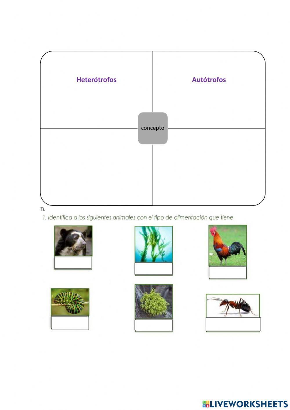 Taller de cierre ciencias tercer periodo