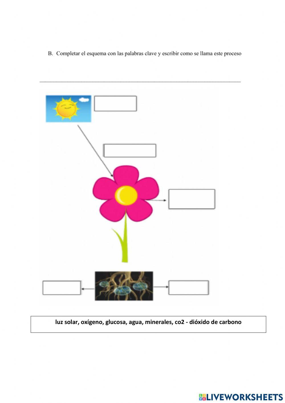 Taller de cierre ciencias tercer periodo