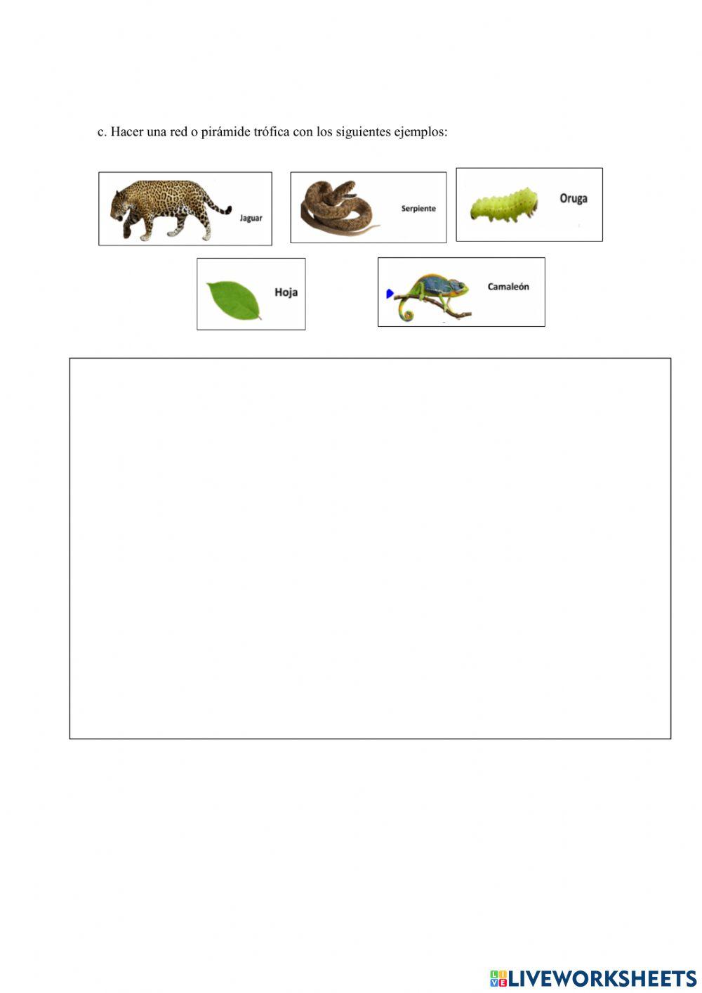 Taller de cierre ciencias tercer periodo
