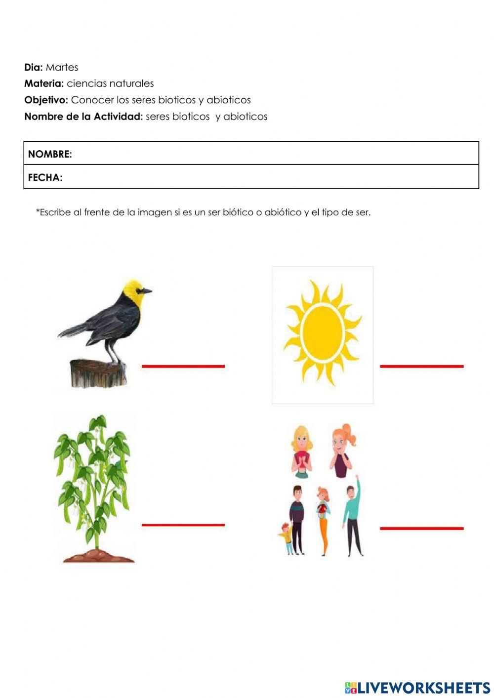 Seres bióticos y abióticos