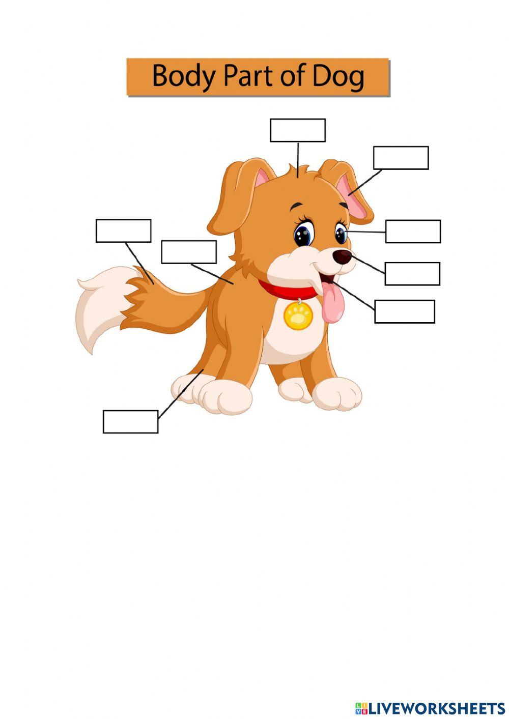 Free Printable Body Parts Of Dog Worksheet Kiddoworksheets, 46% OFF