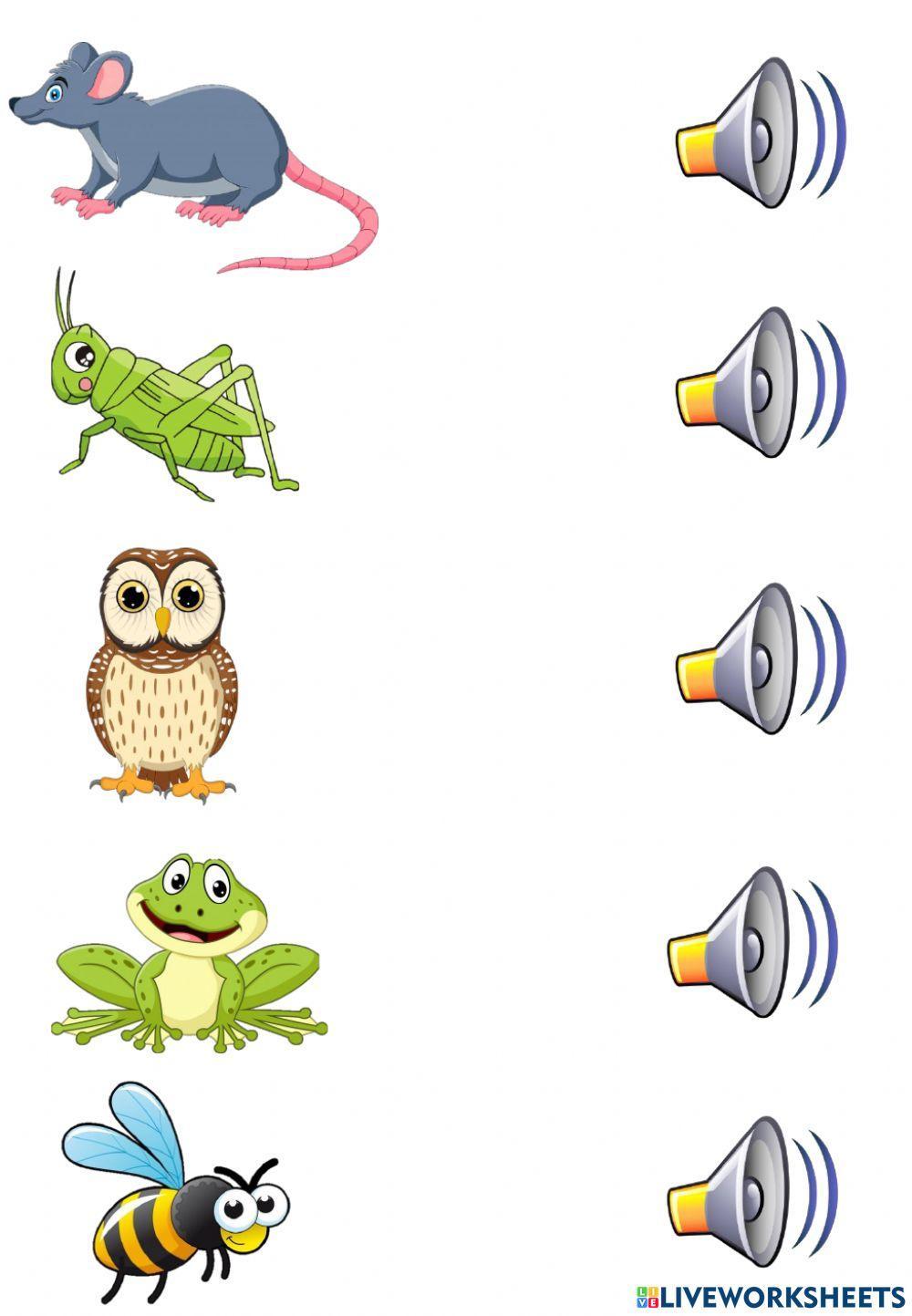 Sonidos animales del bosque