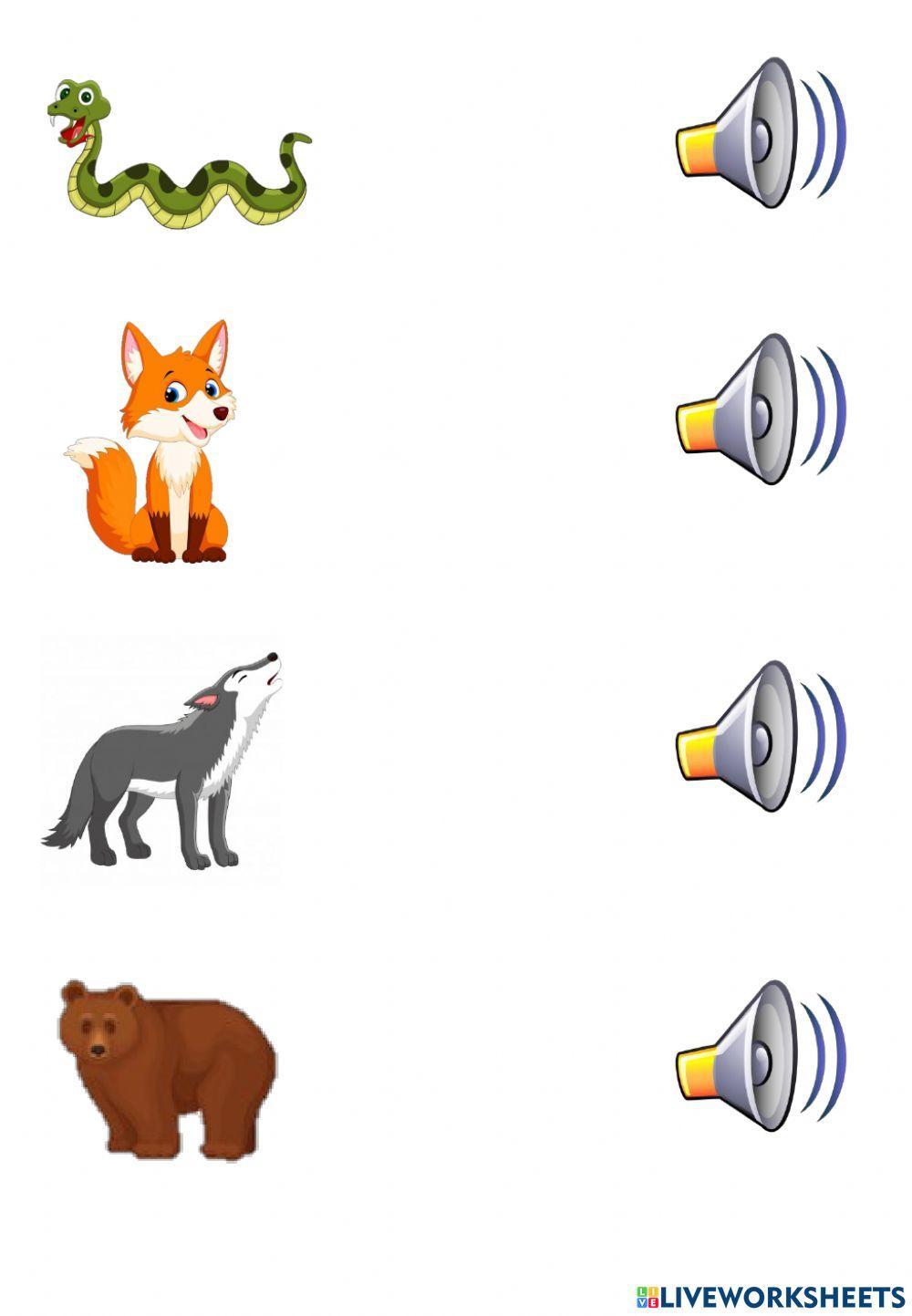 Sonidos animales del bosque