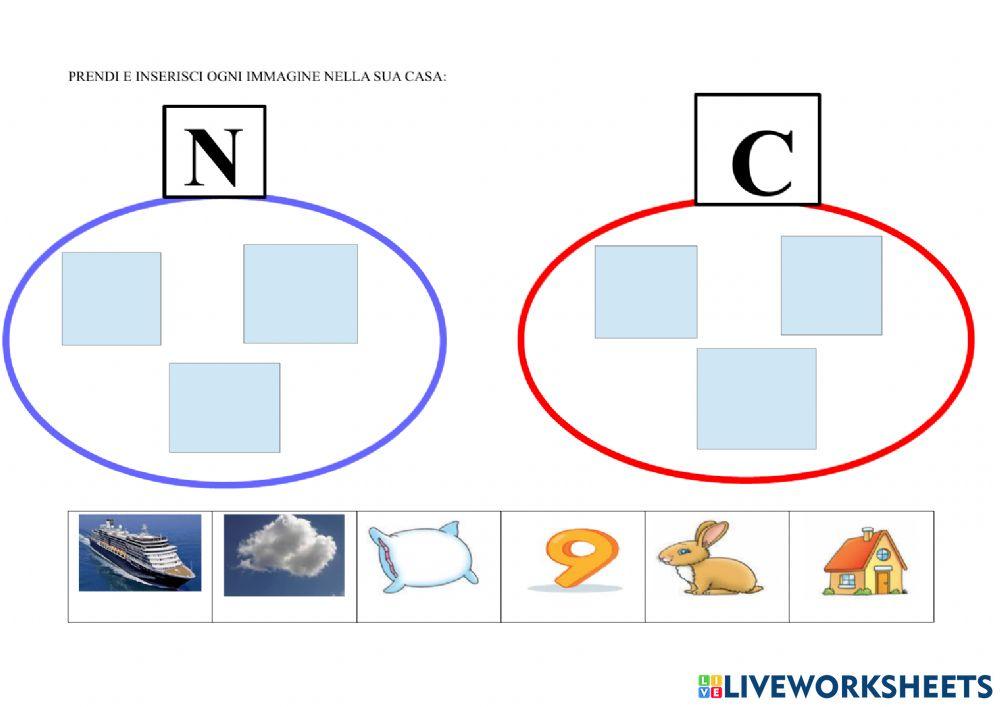 Prendi e inserisci ogni immagine nella sua casa: