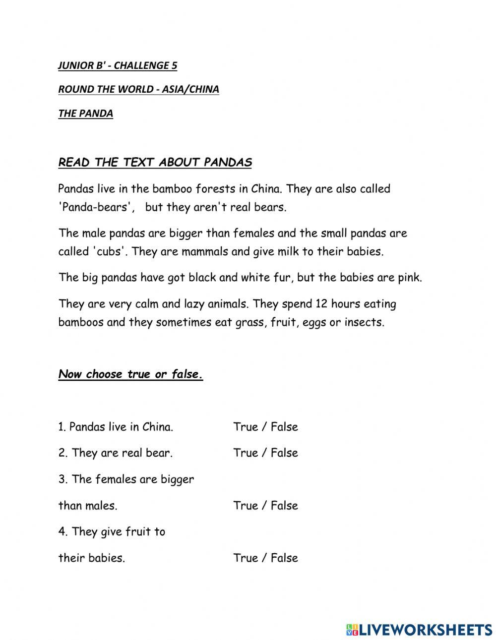 Round the wold - Challenge 5