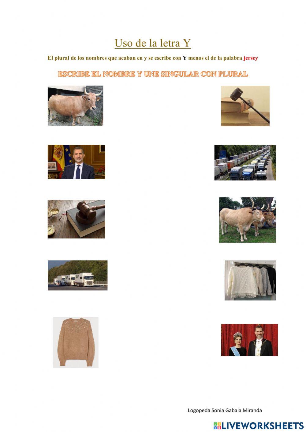 Plurales con Y