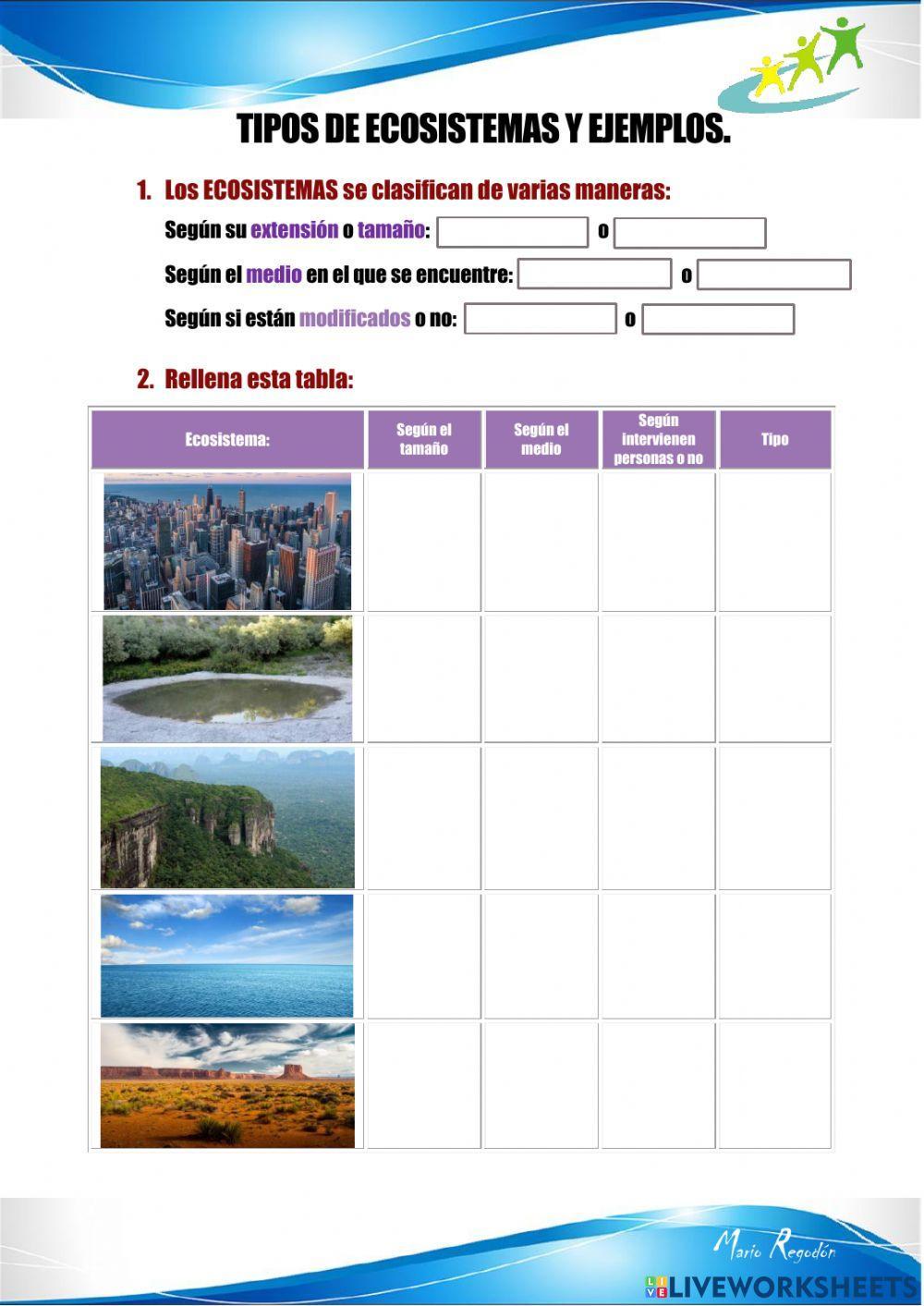 Tipos de ecosistemas y ejemplos Tipos de ecosistemas y ejemplos
