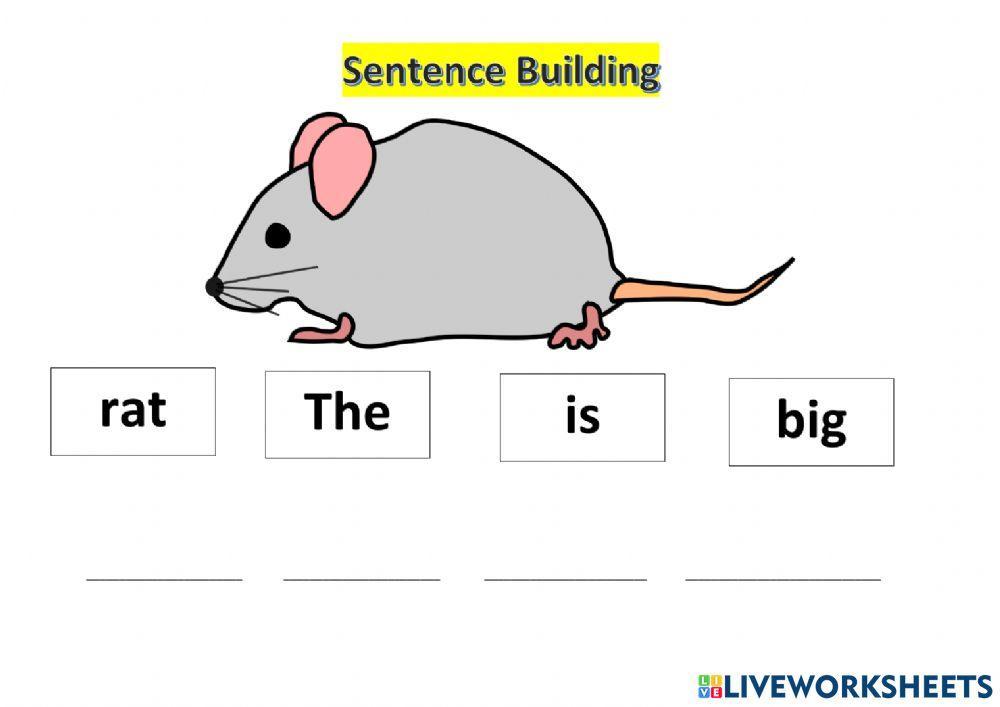 At,an,ap words + sight words sentence building