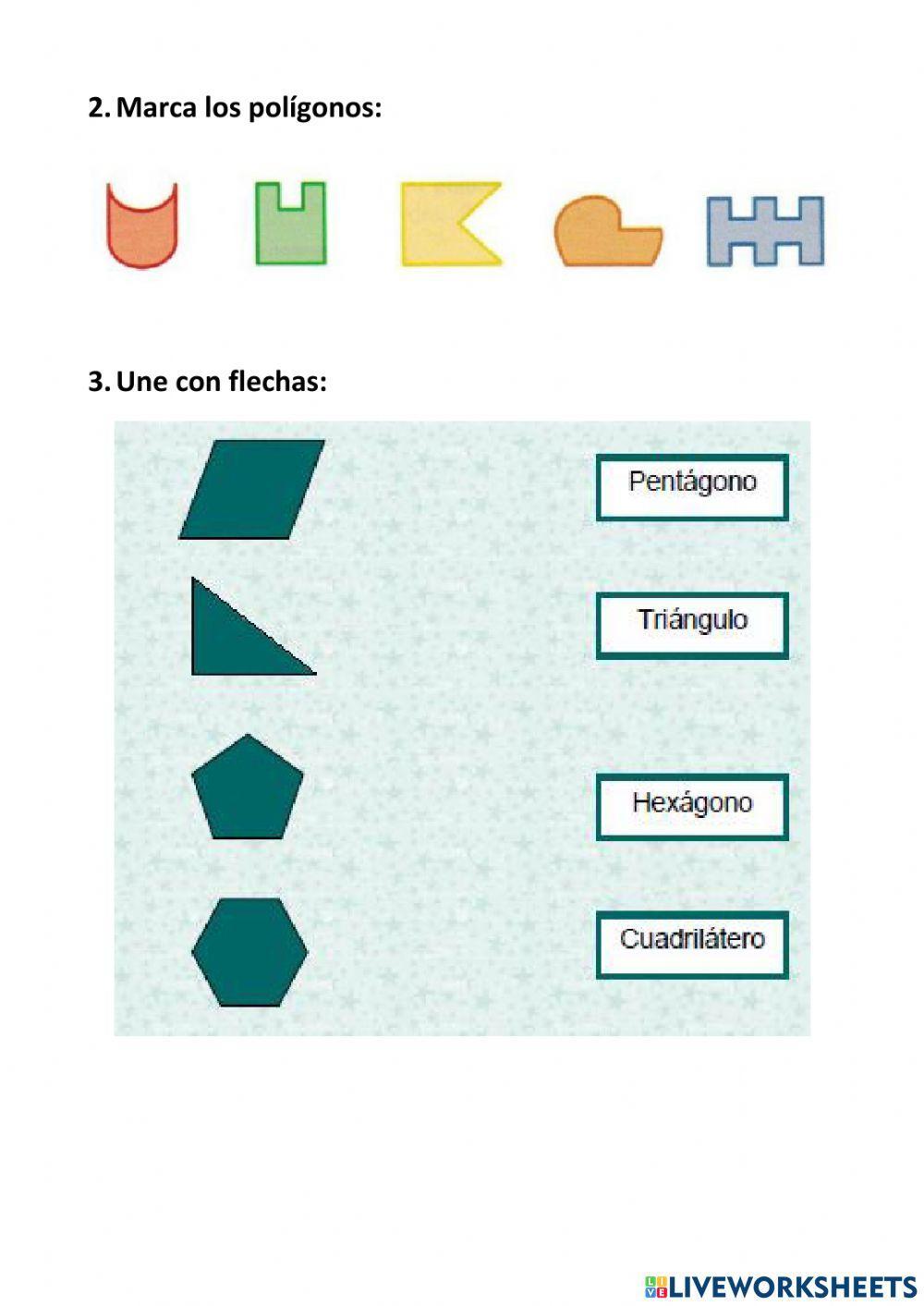 Los polígonos y su clasificación