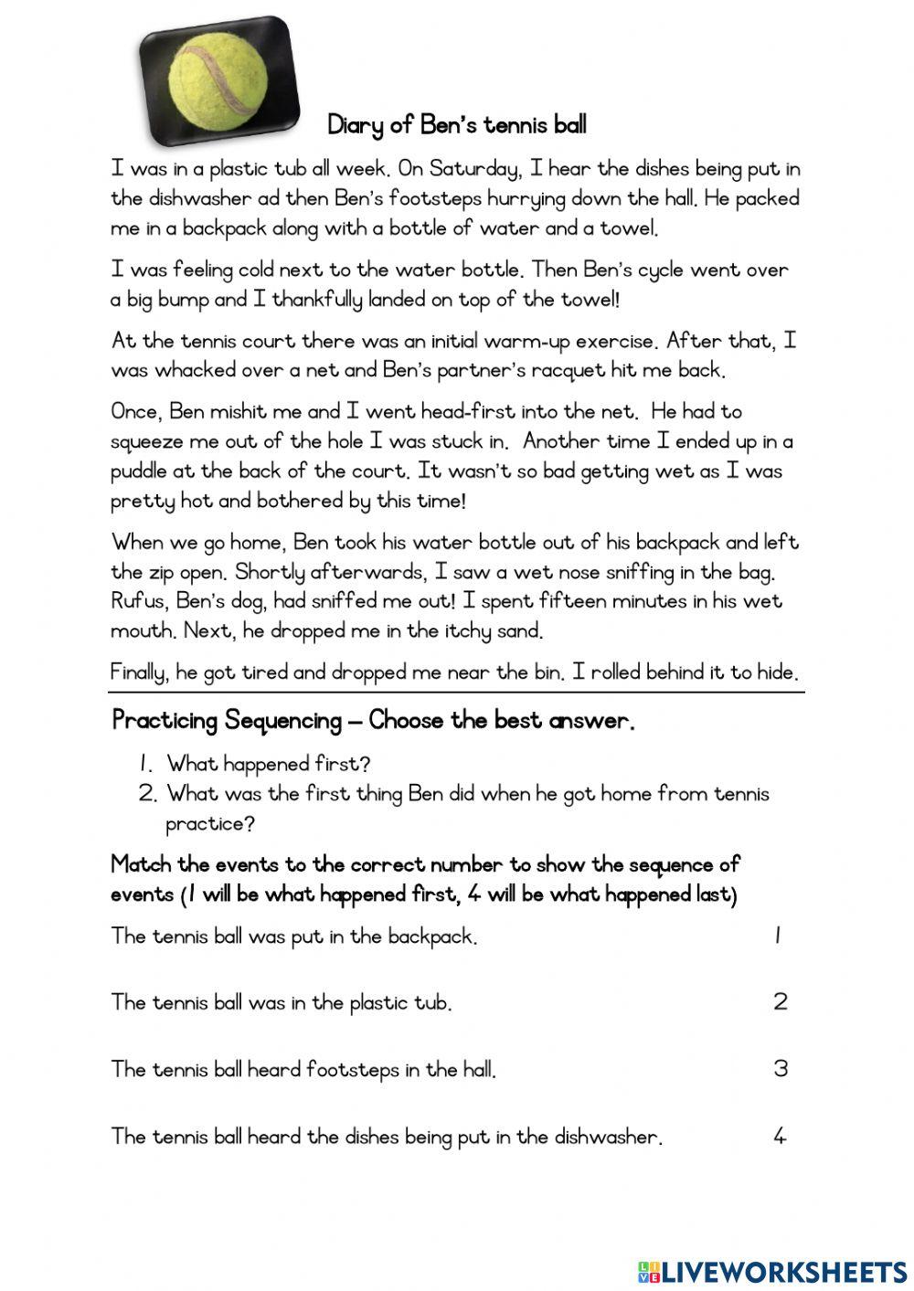 Diary of Ben's Tennis Ball