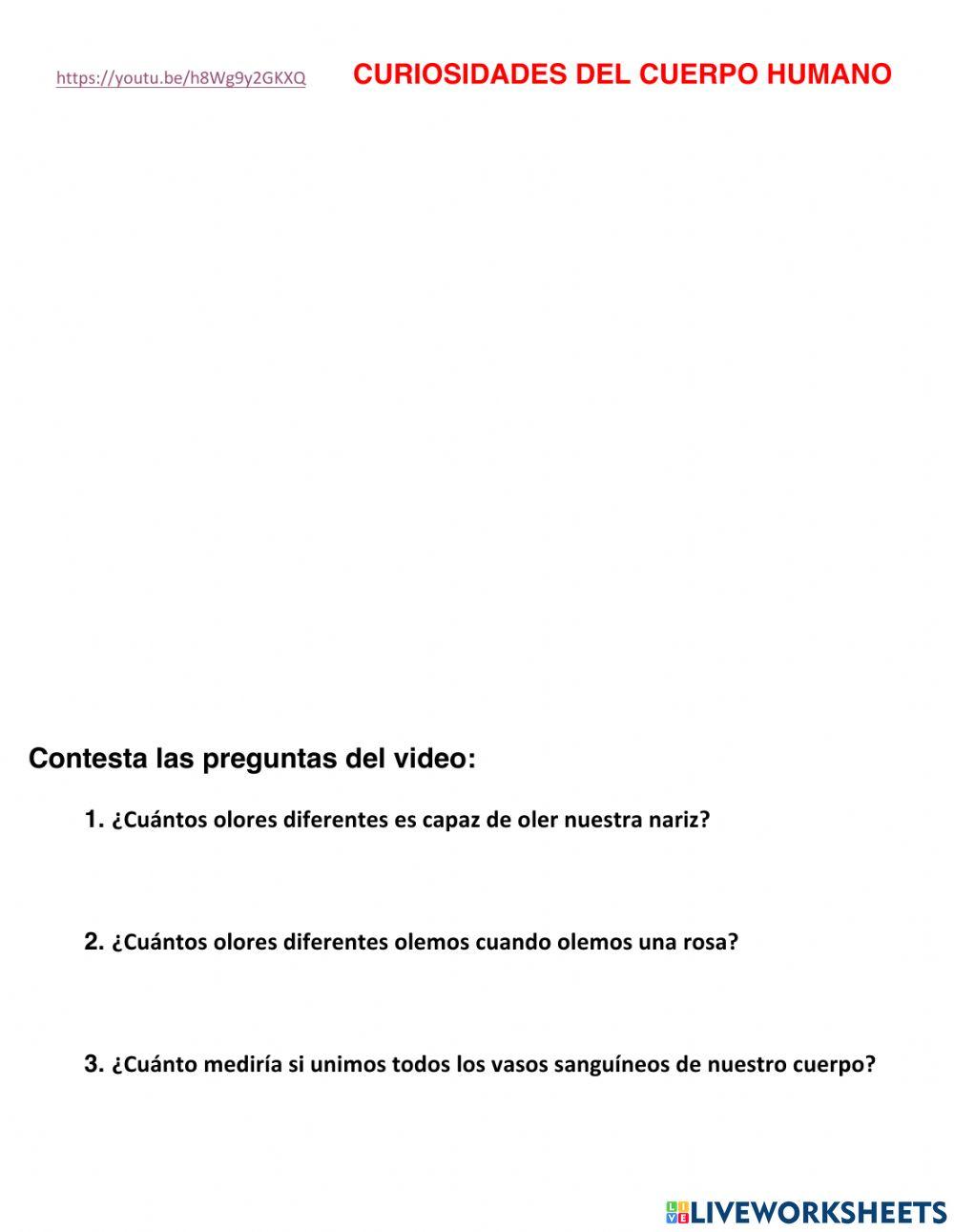 Curiosidades del Cuerpo Humano