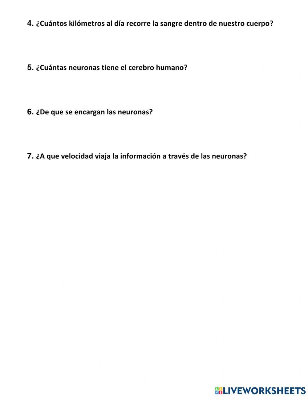 Curiosidades del Cuerpo Humano