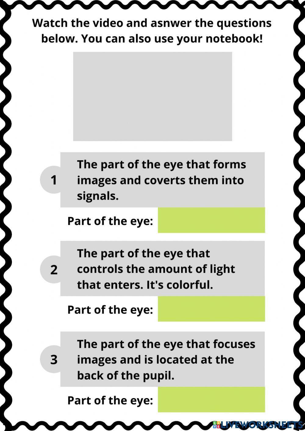 The Sense of Sight Review GSD