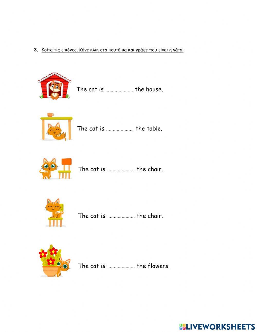 Elementary 1 - Revision Unit 5