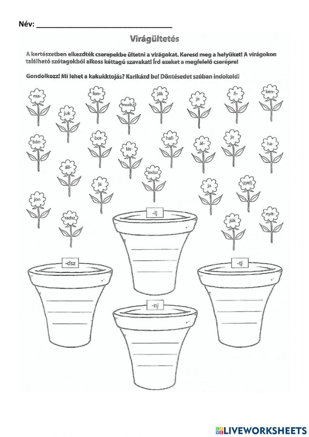 Kiejtéstől eltérő helyesírású szavak