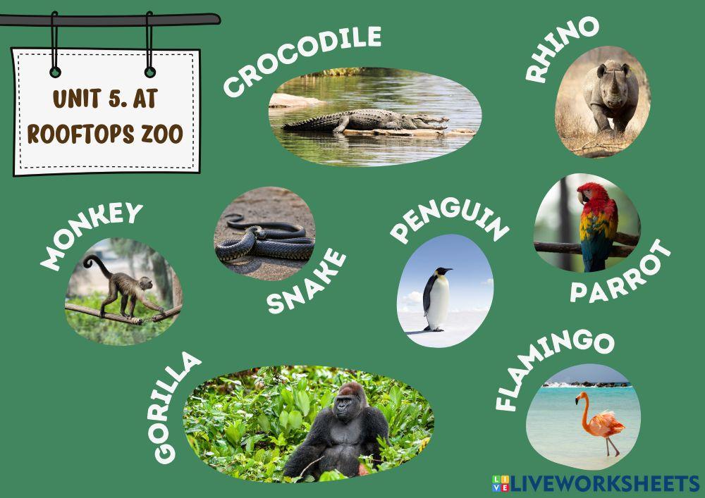 Ud5. at rooftops zoo