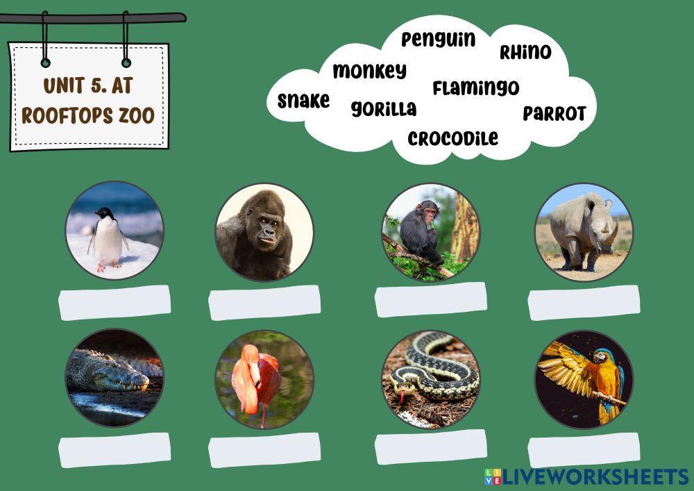 Ud5. At rooftops zoo