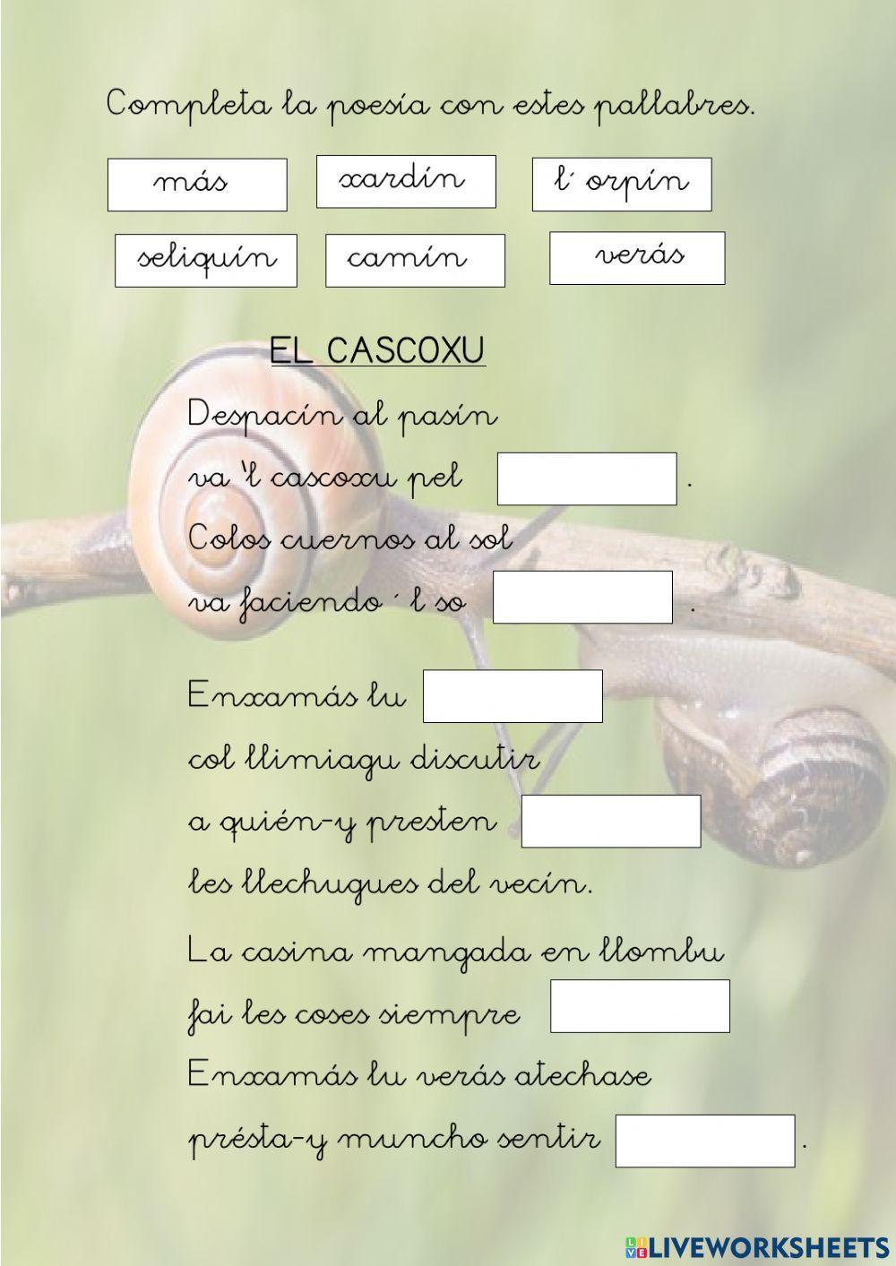 Canciu: el cascoxu