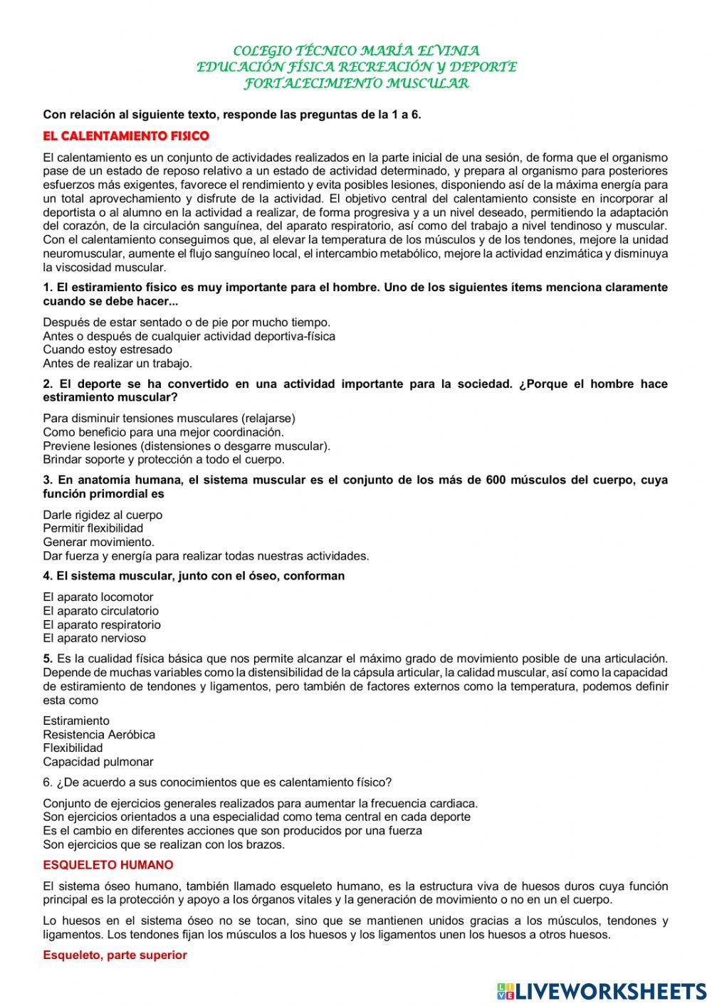 Fortalecimiento muscular