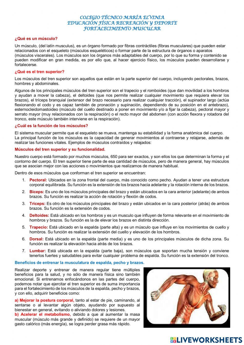 Fortalecimiento muscular