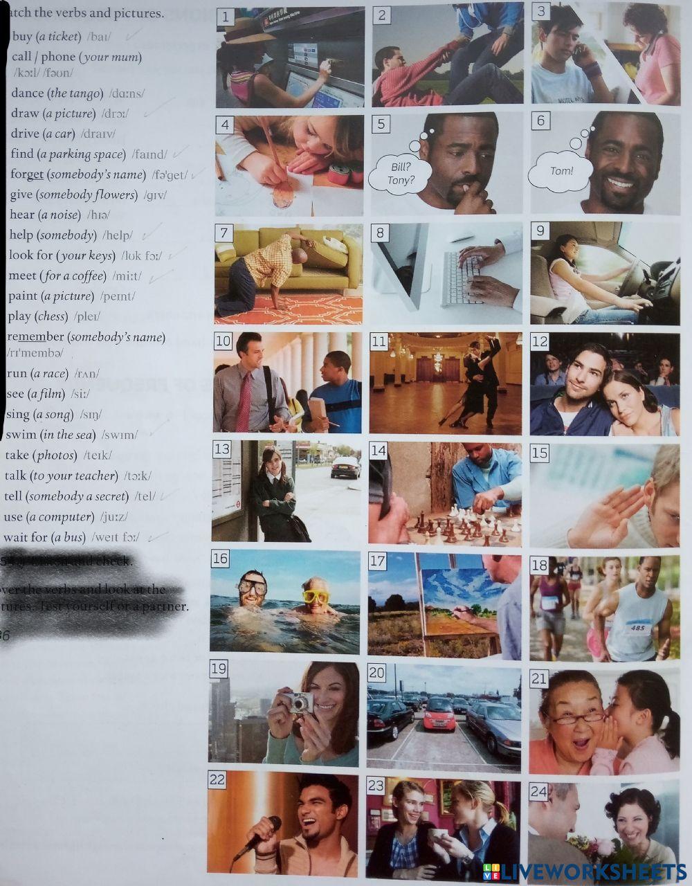 Verb Phrases (EnglishFile3rdElementary