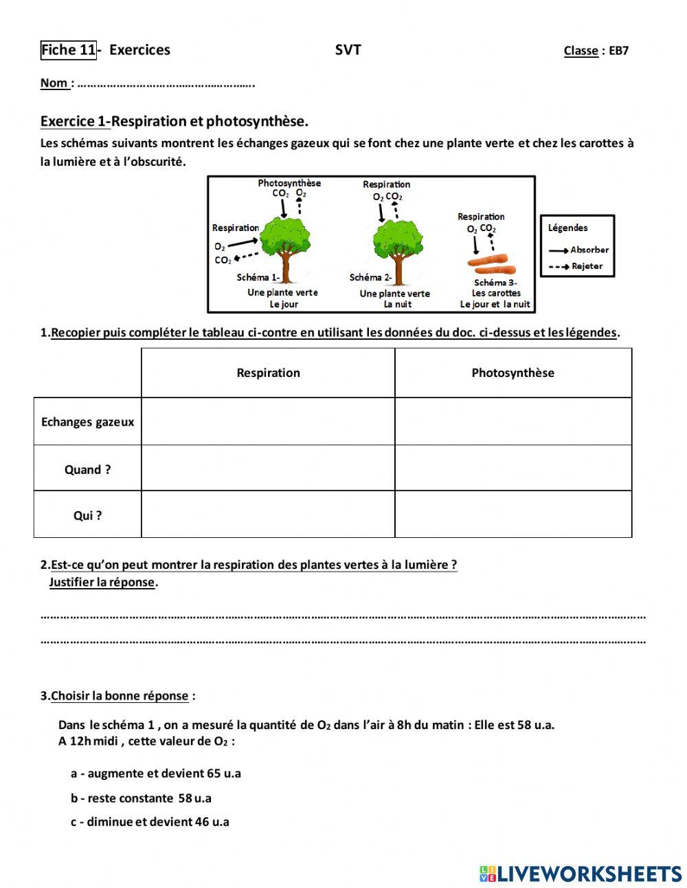 Respiration et photosynthèse