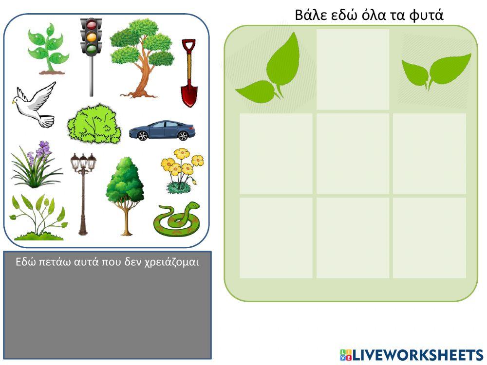 Βρίσκω τα φυτά