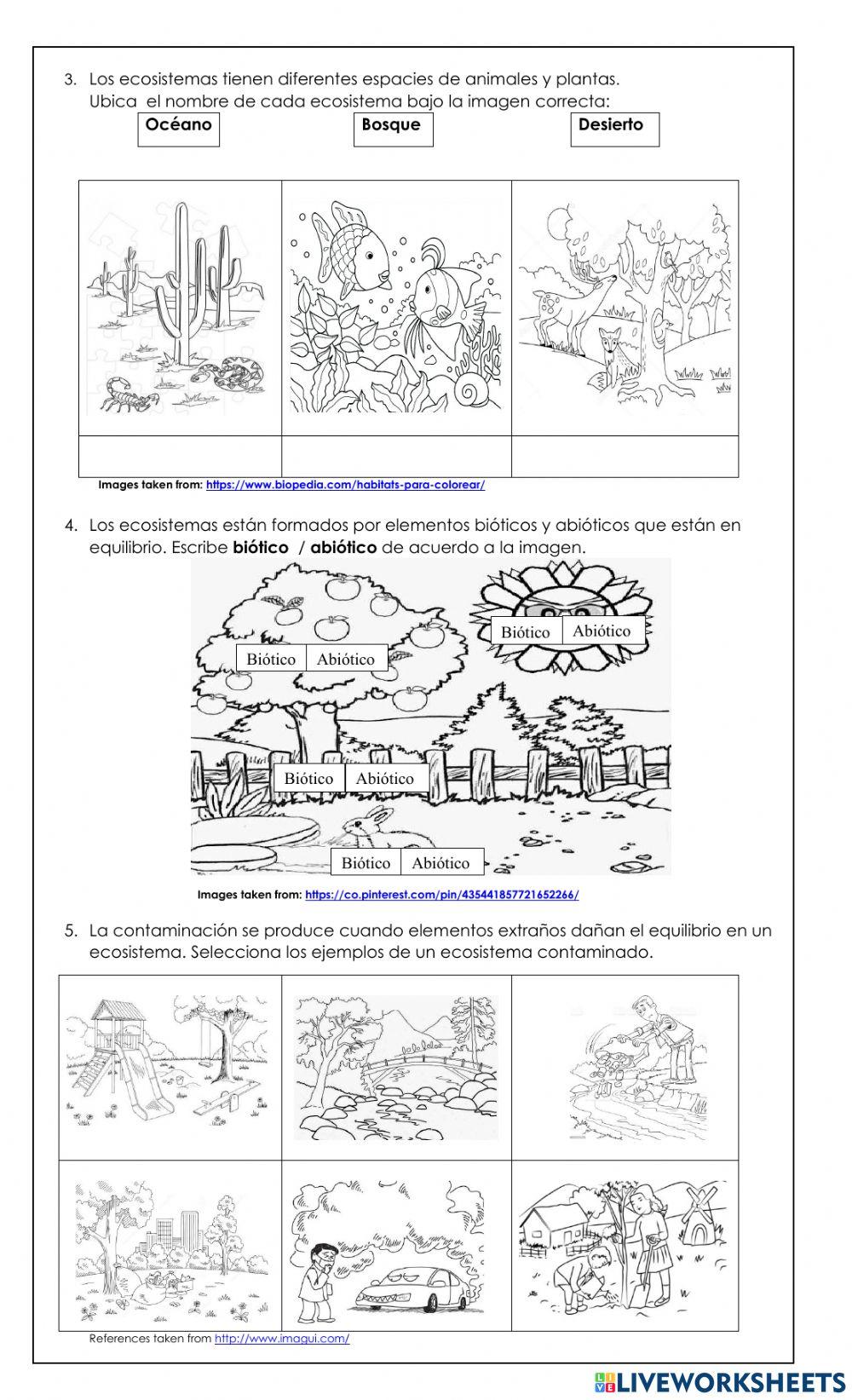 TR- Science Adapted Exam