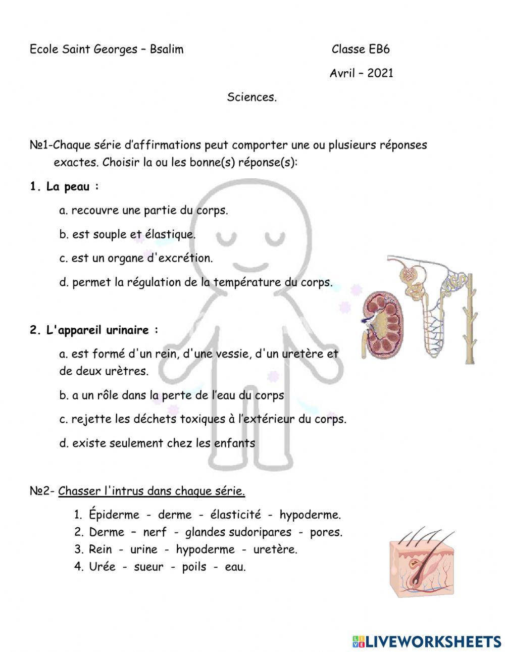 EB6-sciences-excrétion