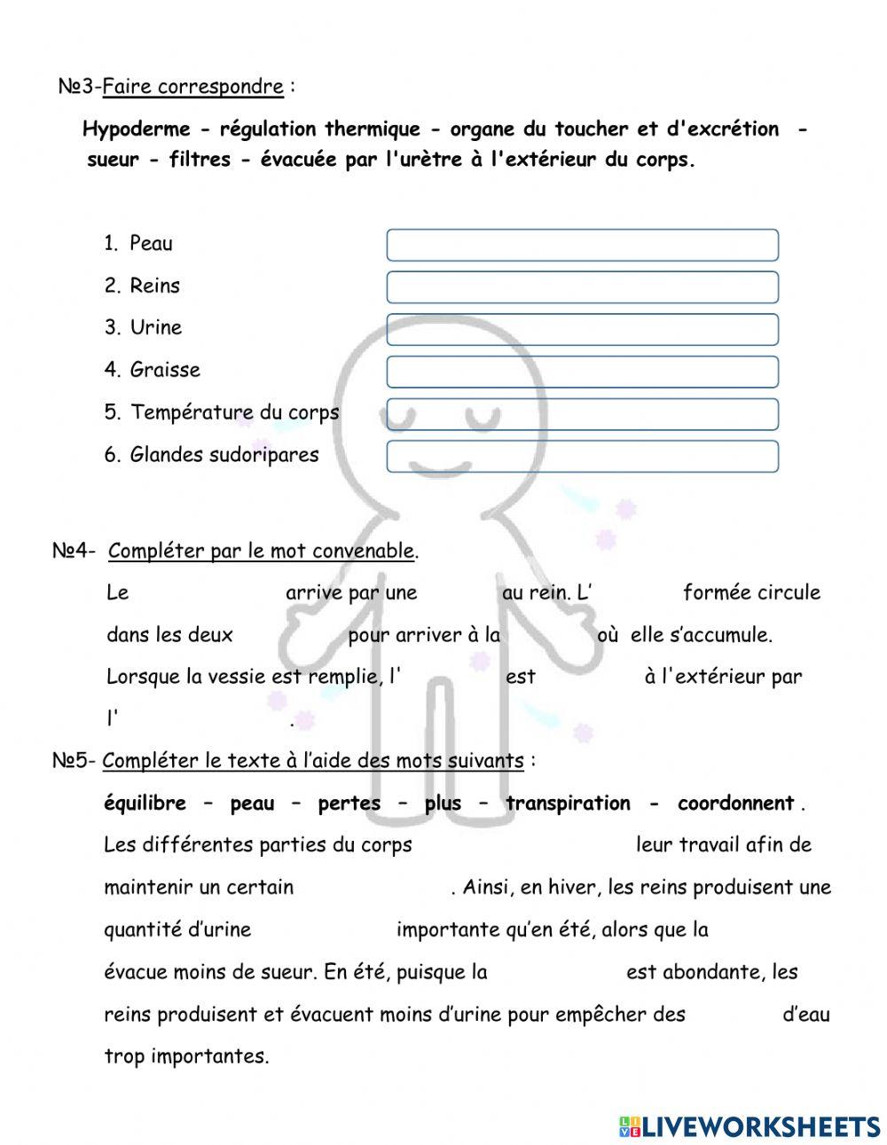 EB6-sciences-excrétion